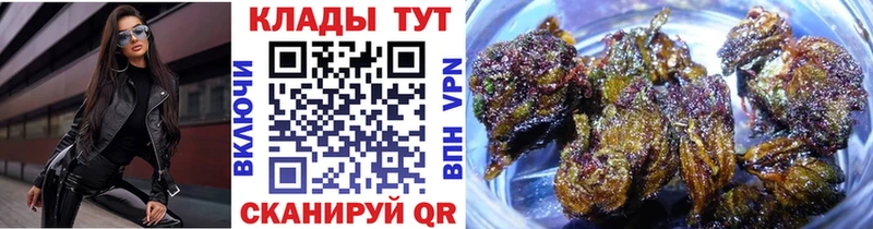 Где продают наркотики Новодвинск ГАШ ГЕРОИН МЕФ Псилоцибиновые грибы КОКАИН A-PVP