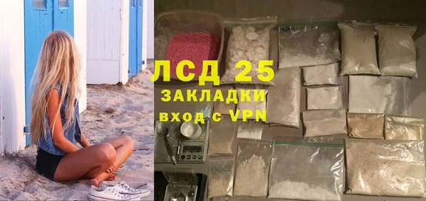 mdpv Бородино