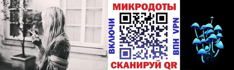 Псилоцибиновые грибы мухоморы  kraken маркетплейс  Новодвинск  закладки 